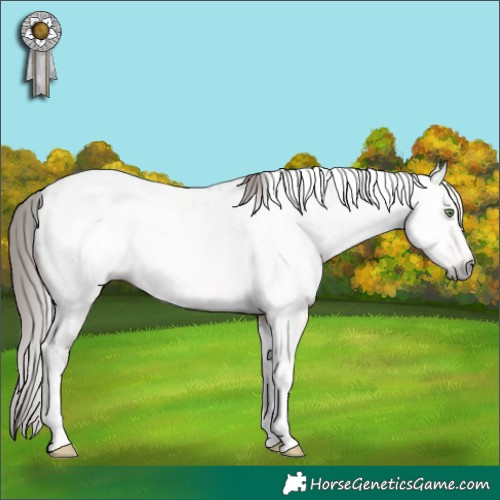 Horse Color:Gray Amber Champagne Dun Tobiano Near Leopard