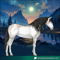 Horse Color:Brown Dun Sabino Frame Rabicano