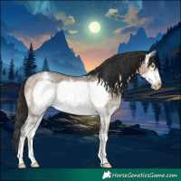 Horse Color:Brown Dun Sabino Frame Rabicano