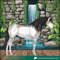 Horse Color:Brown Dun Sabino Frame Rabicano