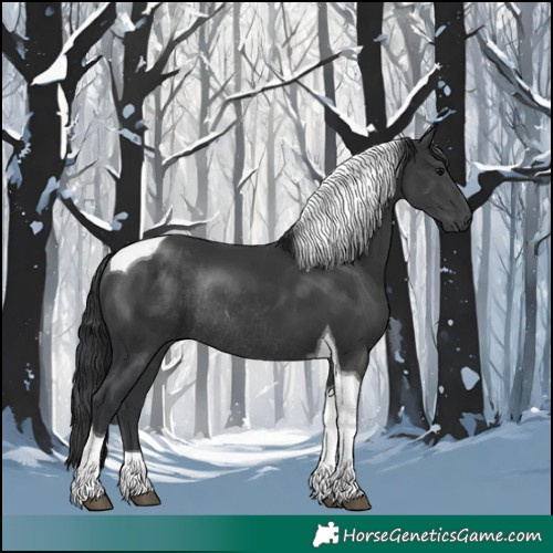 Horse Color:Black Tobiano Rabicano