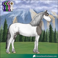 Horse Color:Grullo Tobiano Frame Rabicano 