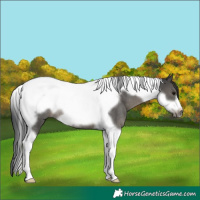 Horse Color:Grullo Tobiano Frame Rabicano 