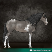 Horse Color:Grullo Tobiano Frame Rabicano 