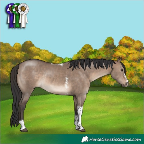 Horse Color:Brown Dun Sabino Tobiano Rabicano 
