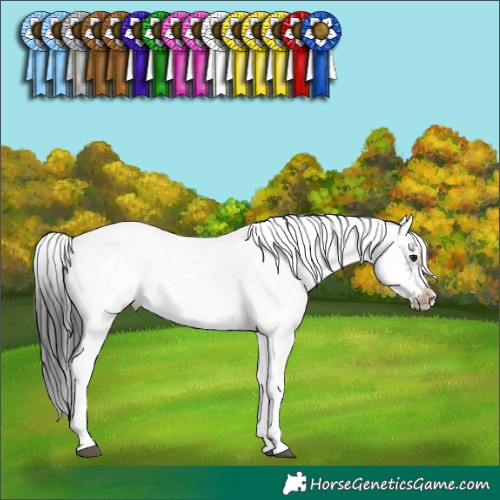 Horse Color:Brown Dun Sabino Frame Rabicano 