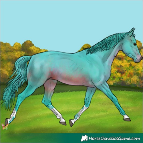 Horse Color:Watercolor Brown Tobiano 
