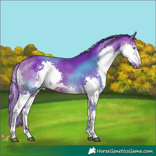 Horse Color:Watercolor Brown Splash Tobiano 