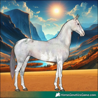Horse Color:Nacre White Spotted Brown Ice Tobiano Appaloosa