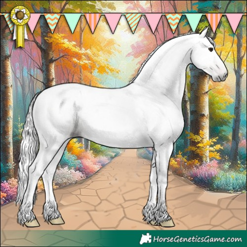 Horse Color:Gray Brown Dun Rabicano 