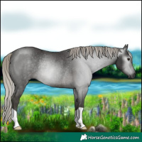 Horse Color:Gray Silver Smoky Black Rabicano 