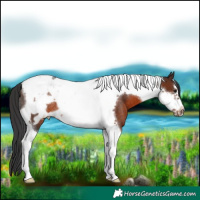 Horse Color:Brown Tobiano Frame Rabicano