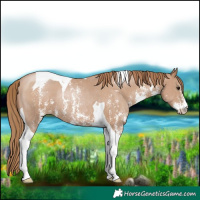 Horse Color:Black Pearl Sabino Tobiano Rabicano 