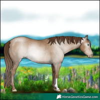 Horse Color:Gray Smoky Black Pearl Rabicano 