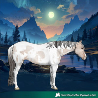 Horse Color:White Spotted Bay Dun Tobiano 