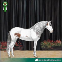 Horse Color:White Spotted Bay Splash Tobiano