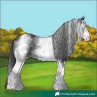 Horse Color:White Spotted Black