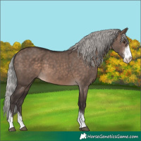 Horse Color:Silver Brown Dun Mushroom Sabino