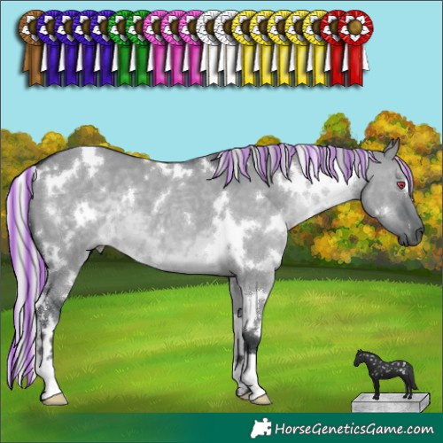 Horse Color:Painted White Spotted Silver Grullo Chinchilla 