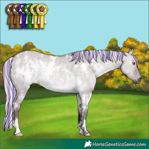 Horse Color:Painted White Spotted Chocolate Silver Grullo Chinchilla Rabicano 