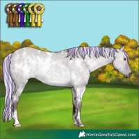 Horse Color:Painted White Spotted Chocolate Silver Grullo Chinchilla Rabicano 