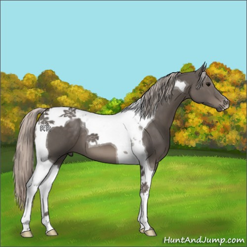 Horse Color:Silver Black Tobiano 