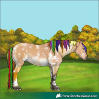 Horse Color:Painted White Spotted Bay Dun