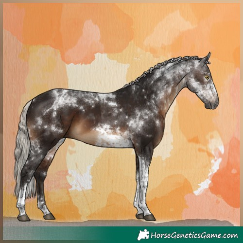 Horse Color:Gray Silver Bay Tobiano 