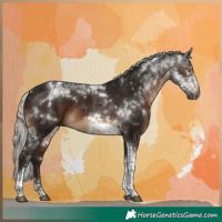 Horse Color:Gray Silver Bay Tobiano 