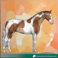Horse Color:Gray Silver Classic Champagne Splash Tobiano 