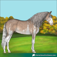 Horse Color:White Spotted Silver Brown Dun Splash 