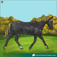 Horse Color:Painted Black 