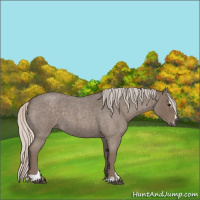 Horse Color:Silver Blue Roan Sabino