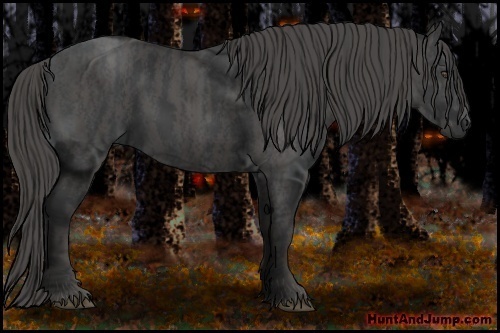Horse Color:Black  Brindle