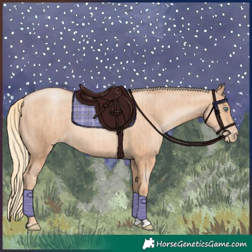 Horse Color:Gold Champagne Pearl Rabicano  and Gold Champagne Pearl Rabicano 