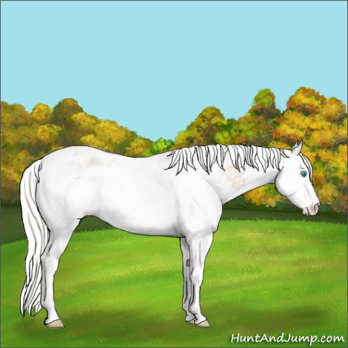 Horse Color:Cremello Splash Tobiano