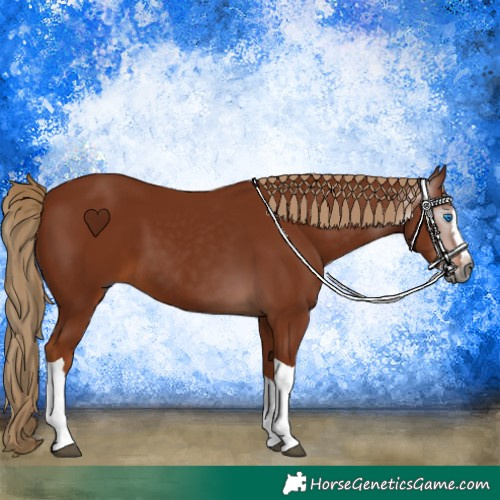 Horse Color:Gray Chestnut Splash Tobiano Rabicano