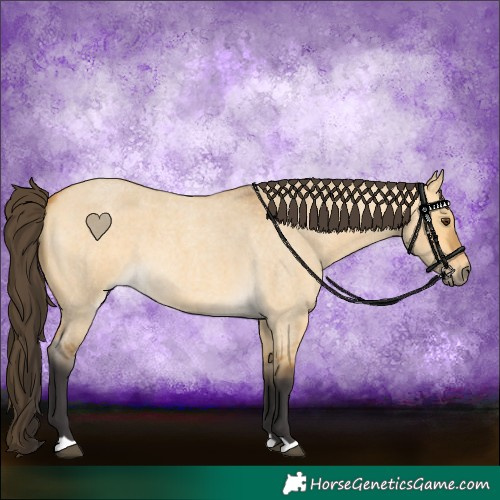 Horse Color:Buckskin Roan Dun