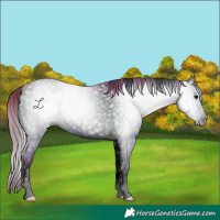 Horse Color:ERROR: UNKNOWN ANOMALY