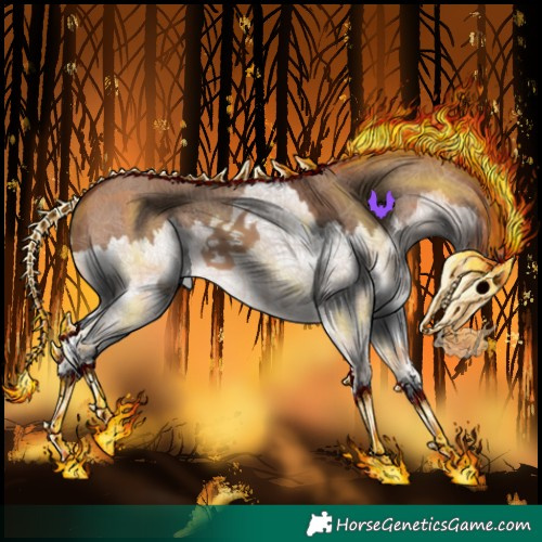 Horse Color:Bay Dun Splash 