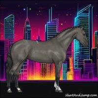 Horse Color:Grullo Tobiano 