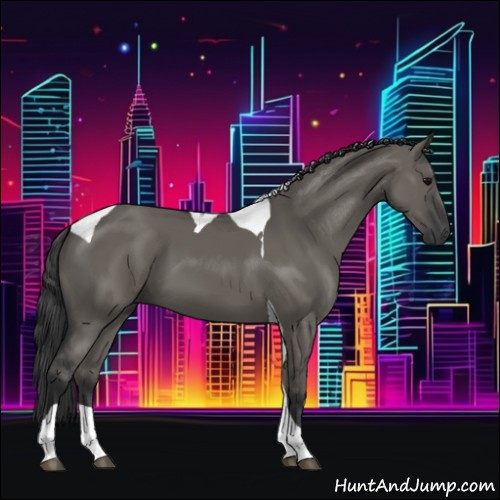 Horse Color:Grullo Tobiano 