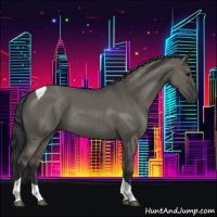 Horse Color:Grullo Tobiano Rabicano 