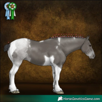 Horse Color:Grullo Tobiano