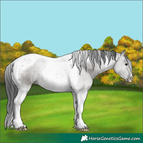 Horse Color:Grullo Tobiano 
