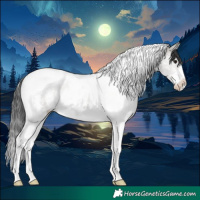 Horse Color:Grullo Sabino Tobiano 