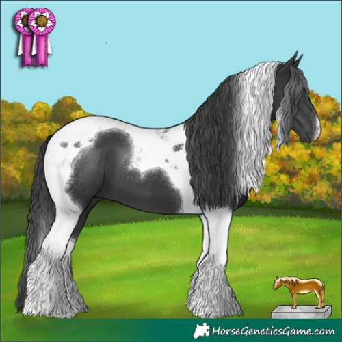 Horse Color:Black Tobiano 