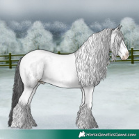Horse Color:Black Sabino Tobiano