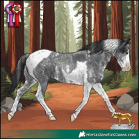Horse Color:Black Sabino Tobiano