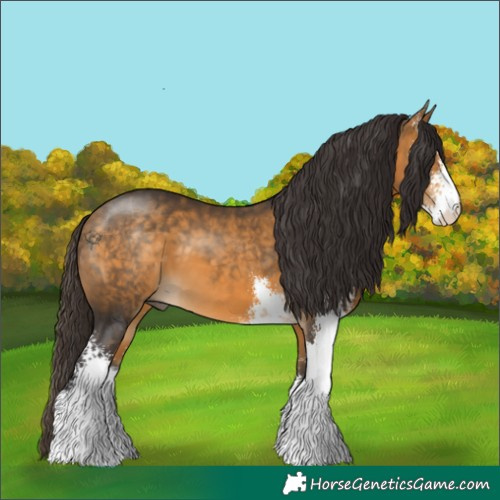 Horse Color:Buckskin Sabino 